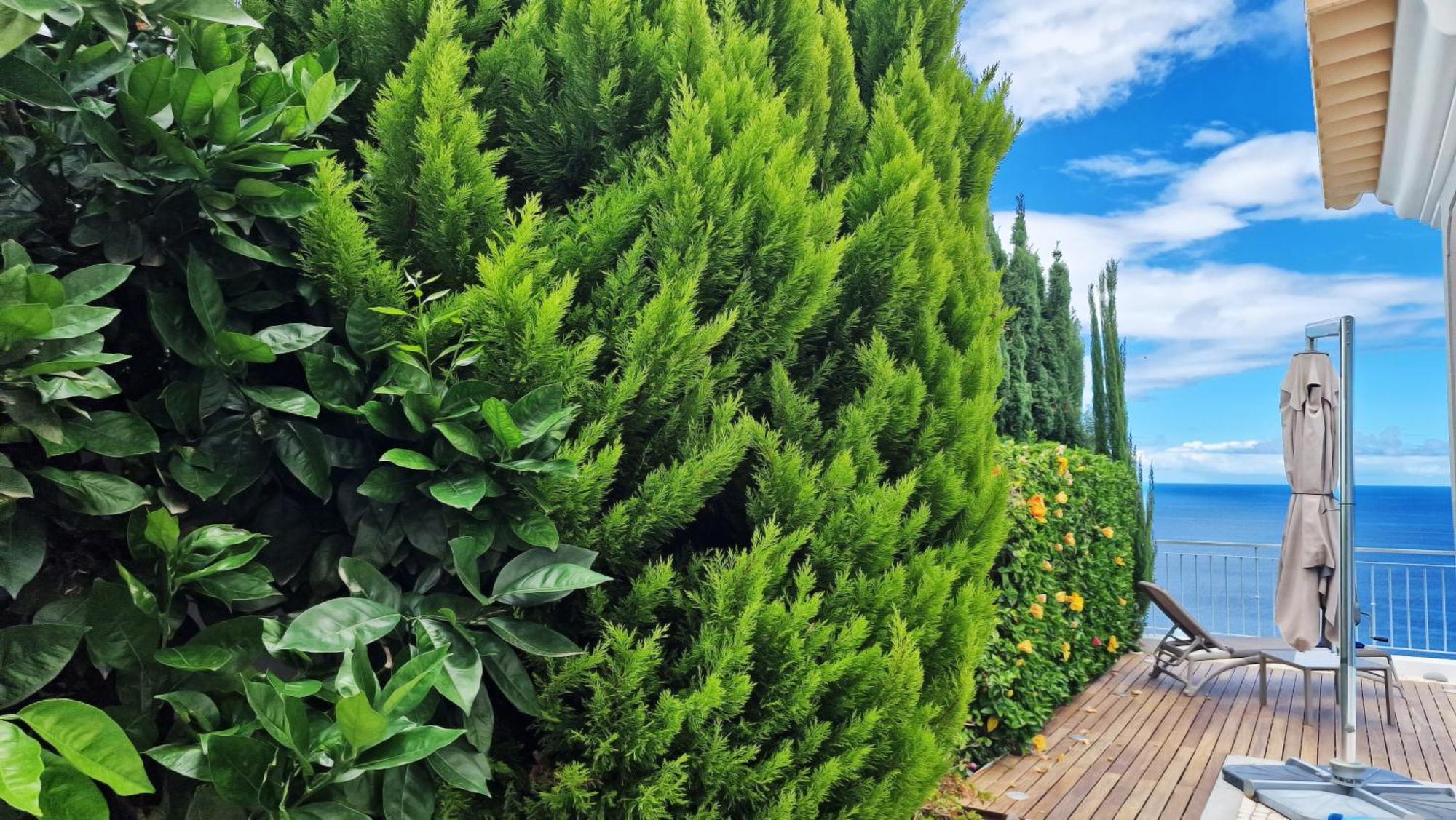 Villa Valentina By Lovelystay Ponta do Sol  Exterior foto